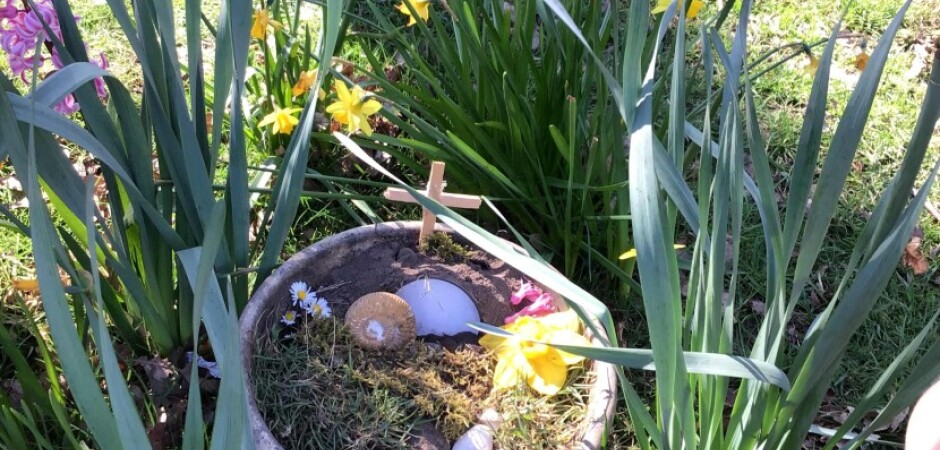 IMG 4038 FocusFillWzgzMCw2ODAsInkiLDIxM10