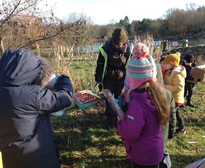 Pensthorpe class 1 2