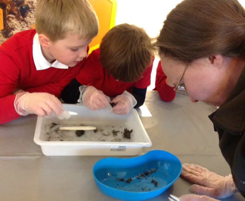 Pensthorpe class 1 3