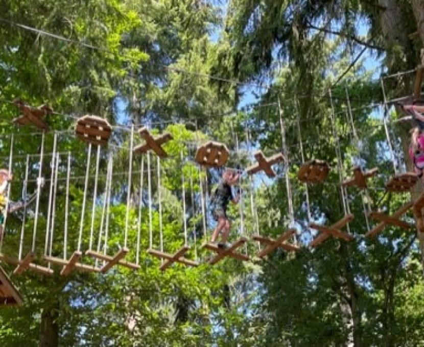 Go Ape 1