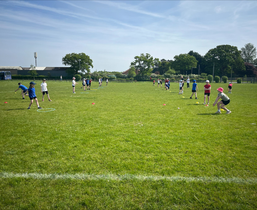 processed 6D87FECA A680 47E2 A4DC 449066CECD39