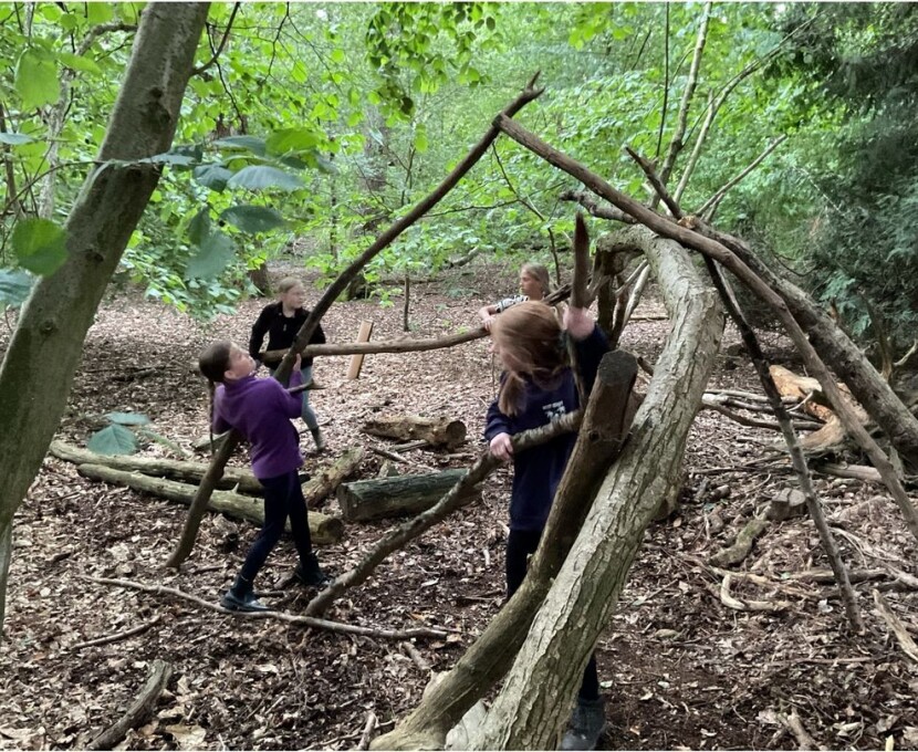 Class 3 den building